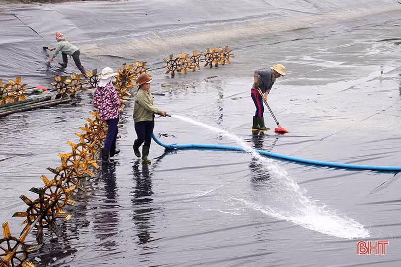 Hiệp hội Nữ doanh nhân Hà Tĩnh - nơi gặp gỡ của khát vọng vươn xa!
