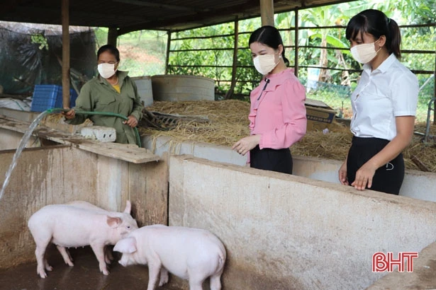 Chi hội trưởng “nói được, làm được” ở xóm núi Vũ Quang