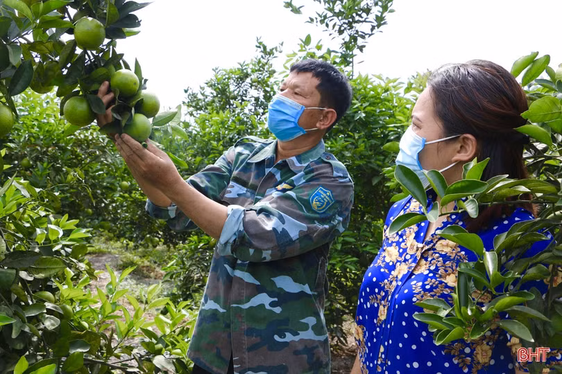 Nữ giám đốc hợp tác xã tiên phong đưa đặc sản của Vũ Quang vươn xa