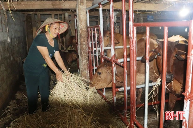 Chi hội trưởng “nói được, làm được” ở xóm núi Vũ Quang