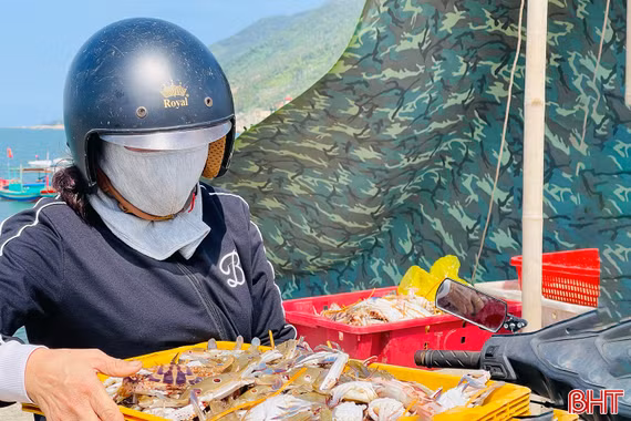 Ghẹ được giá, ngư dân thêm động lực bám biển