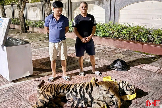 Liên tiếp triệt phá các vụ gian lận thương mại, vận chuyển hàng cấm
