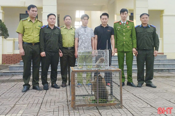 Vườn Quốc gia Vũ Quang tiếp nhận 3 cá thể động vật quý hiếm