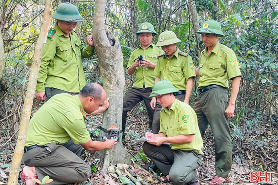 Ứng dụng khoa học công nghệ bảo tồn đa dạng sinh học Vườn Di sản ASEAN
