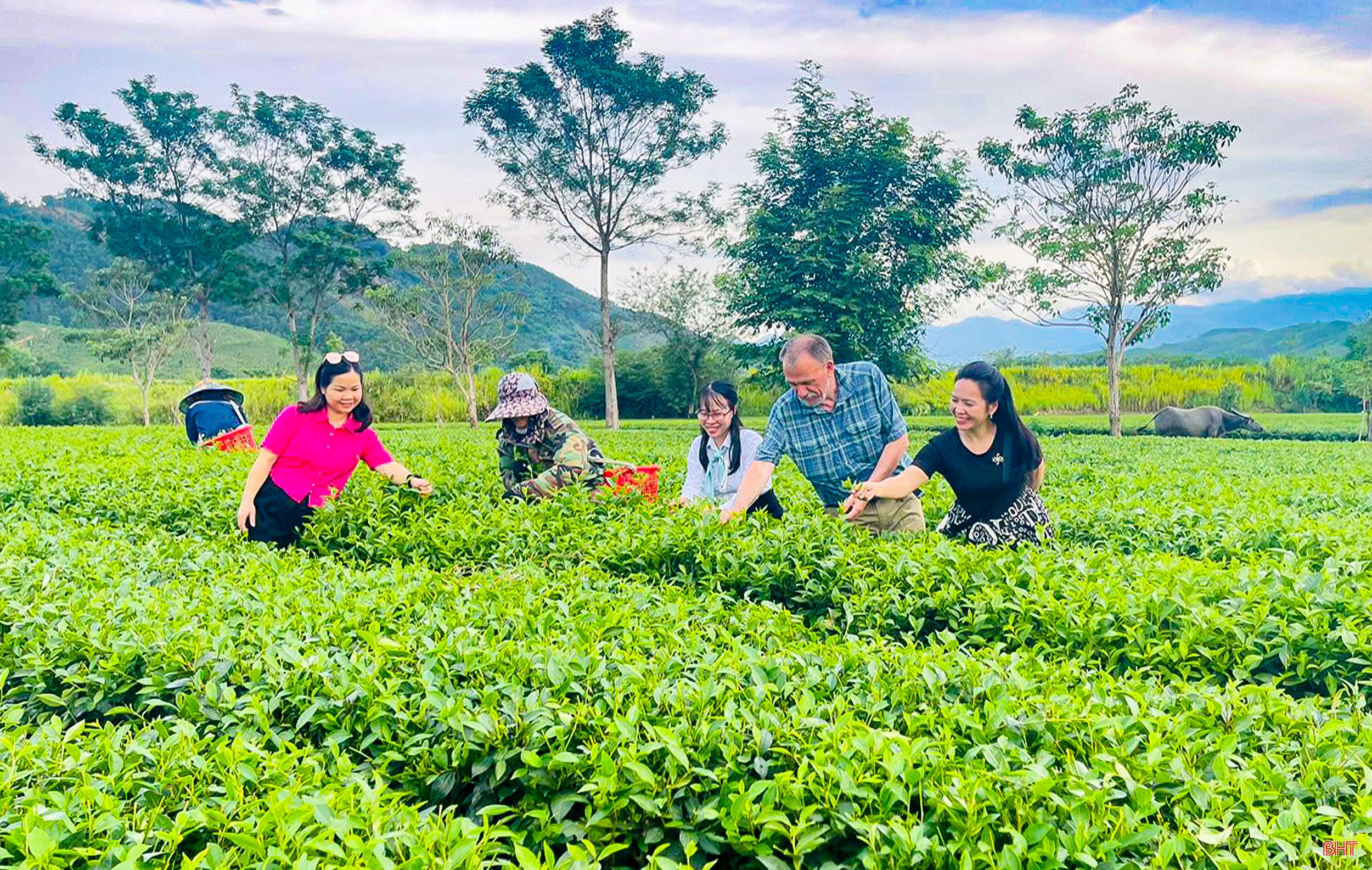 Xây dựng NTM ở Hà Tĩnh: Đi vào chiều sâu, hiệu quả và bền vững (Bài 2): Phát triển kinh tế nông thôn theo hướng hiện đại, hội nhập