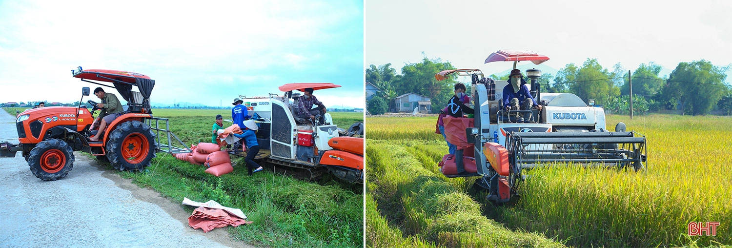 Xây dựng NTM ở Hà Tĩnh: Đi vào chiều sâu, hiệu quả và bền vững (Bài 2): Phát triển kinh tế nông thôn theo hướng hiện đại, hội nhập
