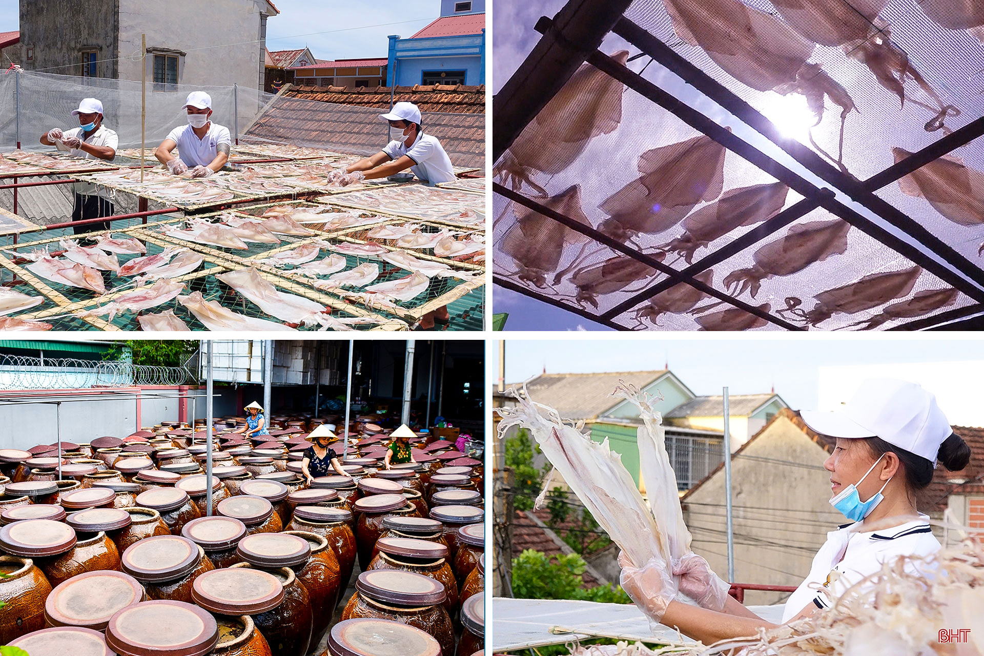 Xây dựng NTM ở Hà Tĩnh: Đi vào chiều sâu, hiệu quả và bền vững (Bài 2): Phát triển kinh tế nông thôn theo hướng hiện đại, hội nhập