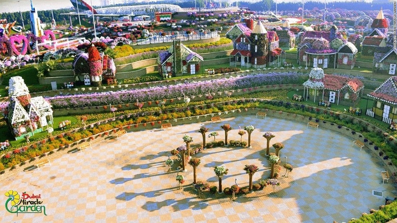 65 trieu bong hoa ruc ro giua dubai kho can