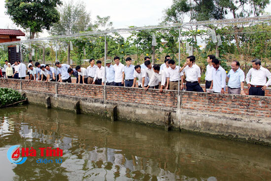 ha tinh thuc day san xuat nong nghiep huu co