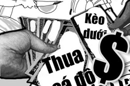 truy to 49 nguoi trong duong day ca do tien ty