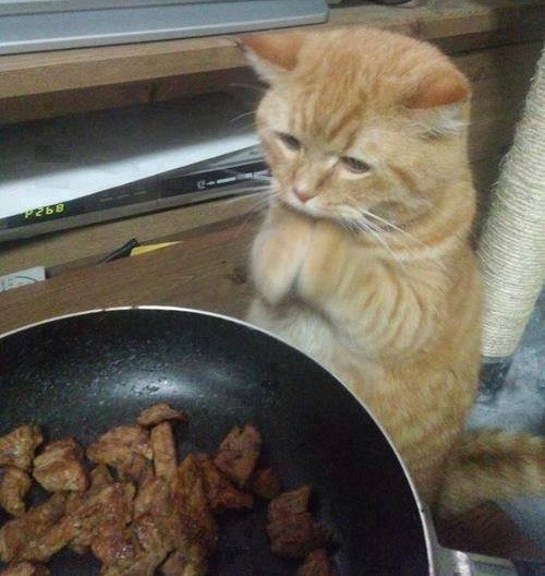 10 anh hai hot nhat facebook trong ngay