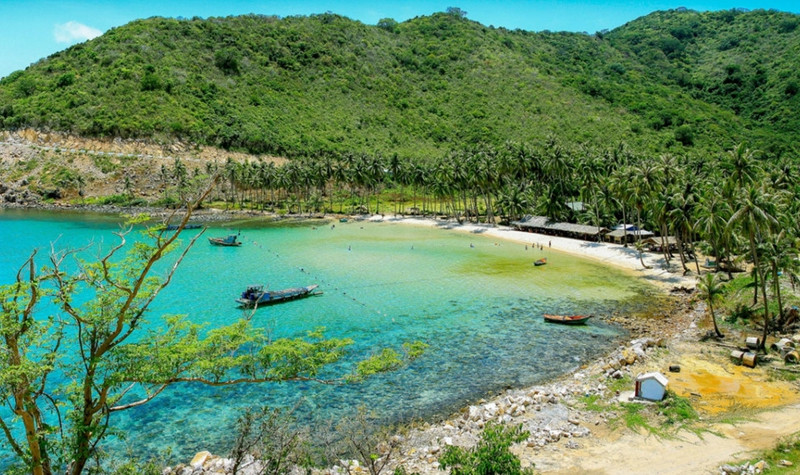 truong sa va bien dao hoang so trong dau an viet nam