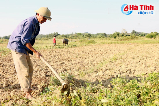 nang dinh diem chao lua huong khe nhiet do len tren 39 do