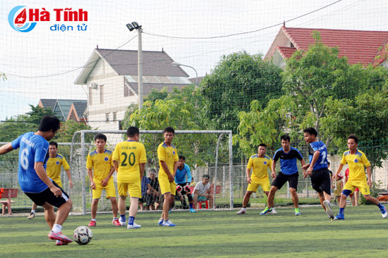 so y te vo dich giai bong da khoi van hoa xa hoi hanh chinh tong hop