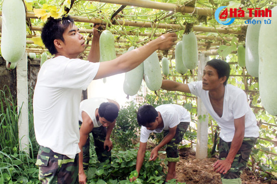 hau can quan doi ha tinh gop phan phuc vu tot cac nhiem vu