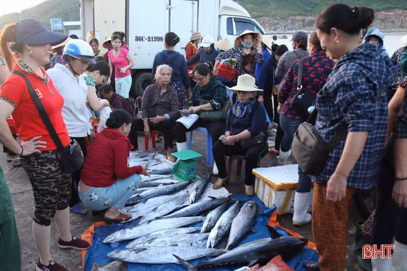 Khai thác biển - điểm sáng trong bức tranh kinh tế thủy sản Hà Tĩnh