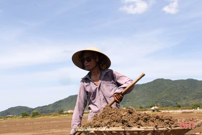 Người dân Hà Tĩnh miệt mài lao động trong nắng nóng gay gắt