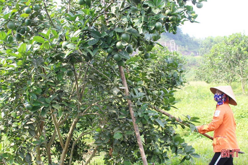 Huyện miền núi Hà Tĩnh rộn niềm vui hướng về đại hội Đảng