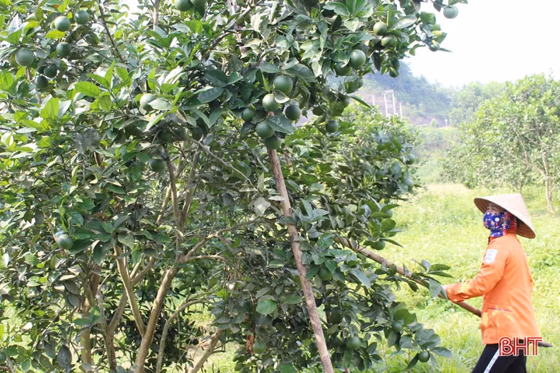 Huyện miền núi Hà Tĩnh rộn niềm vui hướng về đại hội Đảng