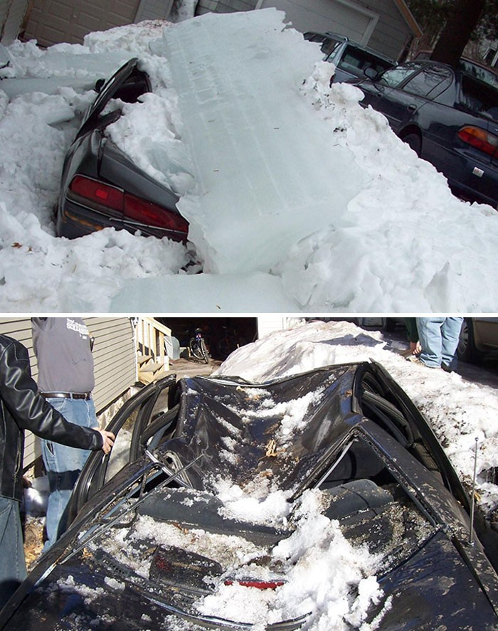 Thư giãn với chùm ảnh hài hước về cuộc sống