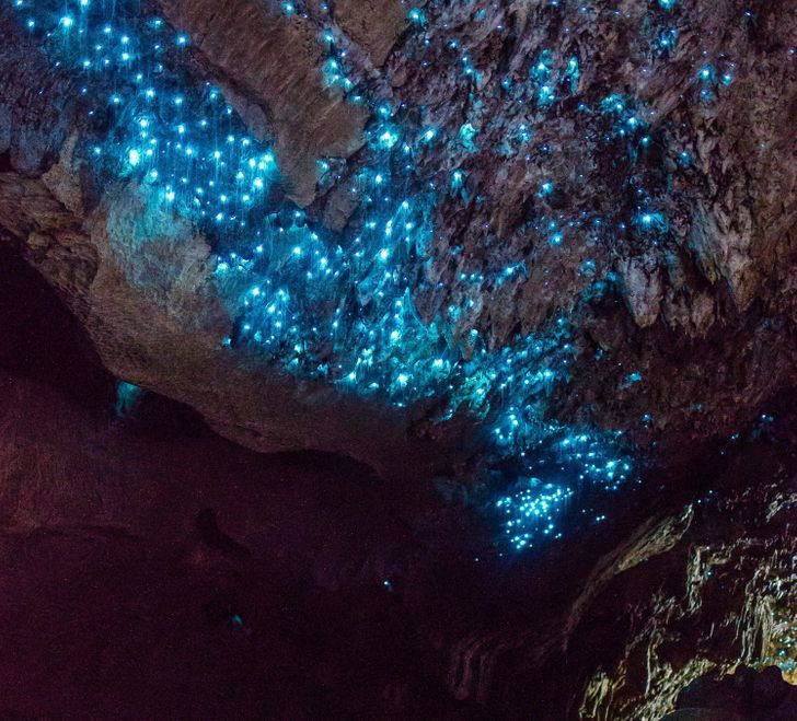 Những hình ảnh khiến bạn phải thốt lên “thật đáng kinh ngạc”