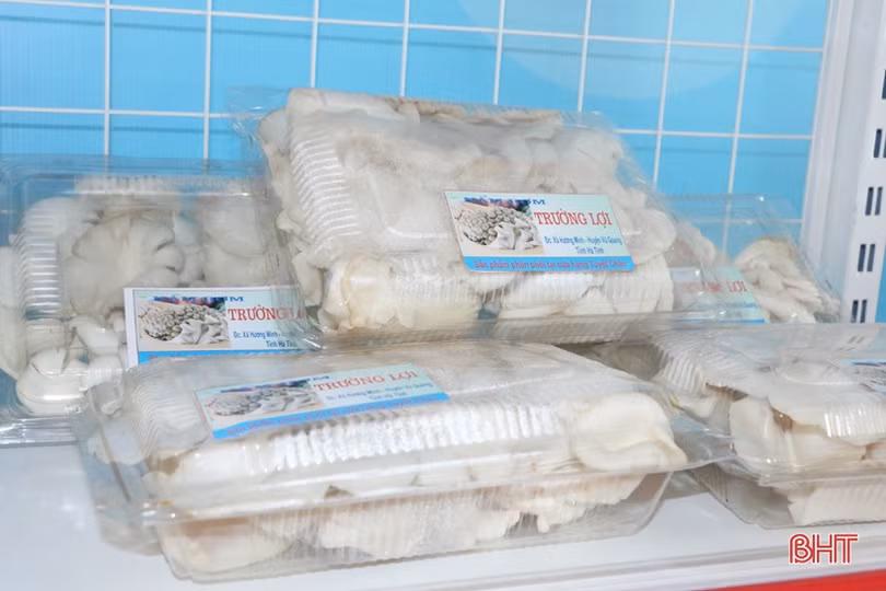 Ấn tượng gian hàng trưng bày sản phẩm nông nghiệp chào mừng Đại hội Đảng của huyện miền núi Hà Tĩnh