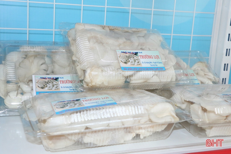 Ấn tượng gian hàng trưng bày sản phẩm nông nghiệp chào mừng Đại hội Đảng của huyện miền núi Hà Tĩnh