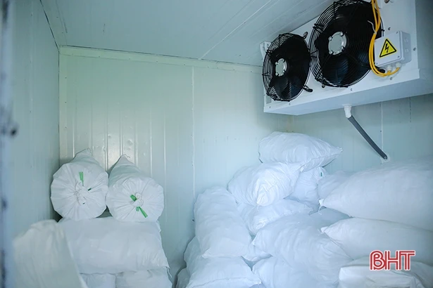 Nắng nóng kéo dài, cơ sở nước tinh khiết, đá lạnh ở Hà Tĩnh vận hành hết công suất