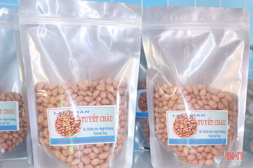 Ấn tượng gian hàng trưng bày sản phẩm nông nghiệp chào mừng Đại hội Đảng của huyện miền núi Hà Tĩnh