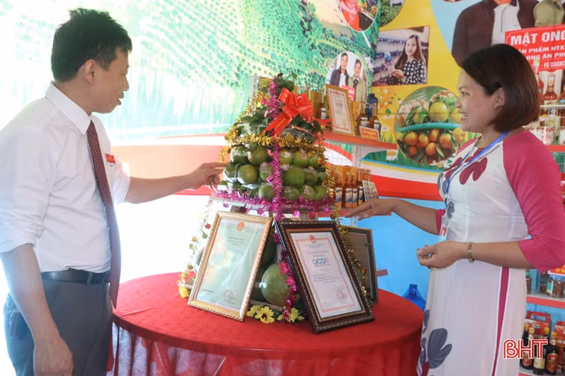 Ấn tượng gian hàng trưng bày sản phẩm nông nghiệp chào mừng Đại hội Đảng của huyện miền núi Hà Tĩnh