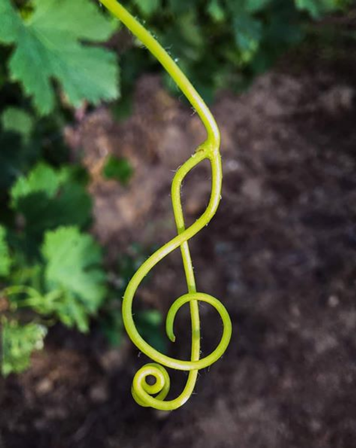 Những hình ảnh khiến bạn phải thốt lên “thật đáng kinh ngạc”