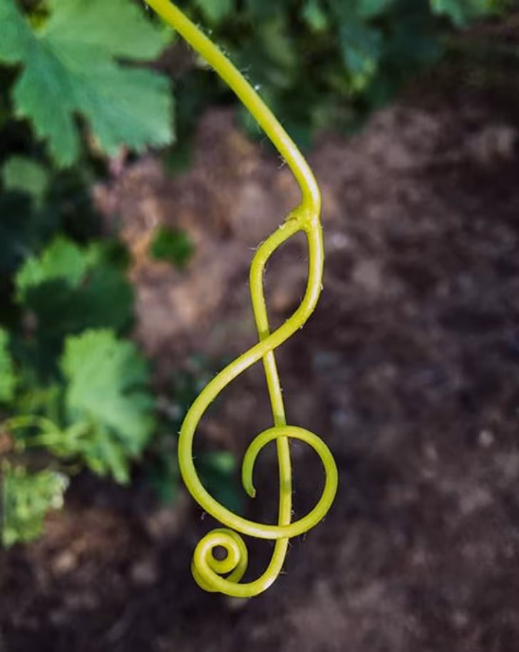 Những hình ảnh khiến bạn phải thốt lên “thật đáng kinh ngạc”