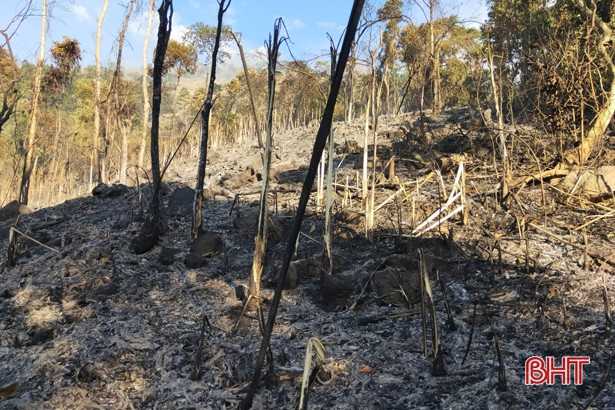 Hàng trăm người kịp thời khống chế 2 điểm cháy rừng Hương Sơn