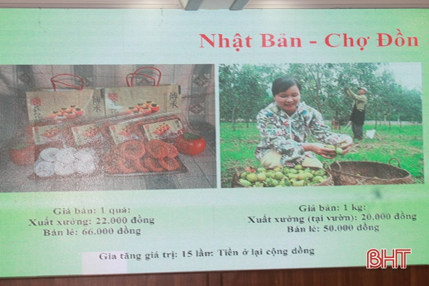 Giúp phụ nữ Hà Tĩnh khởi nghiệp, xây dựng cuộc sống an toàn