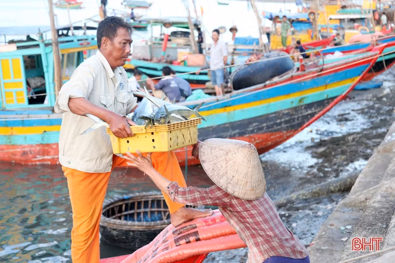 Khai thác biển - điểm sáng trong bức tranh kinh tế thủy sản Hà Tĩnh