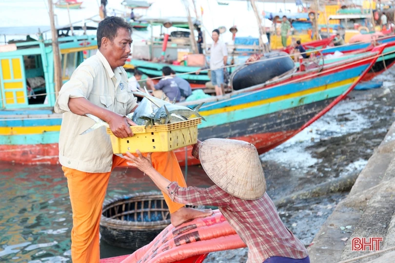 Khai thác biển - điểm sáng trong bức tranh kinh tế thủy sản Hà Tĩnh