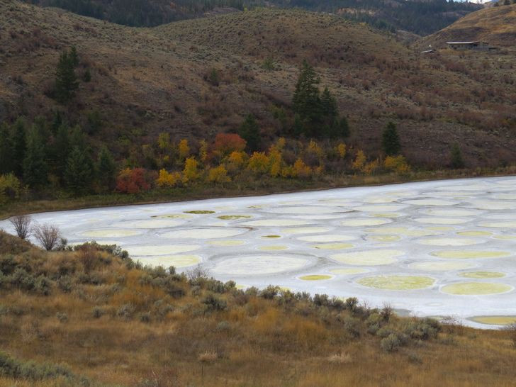 Những hình ảnh khiến bạn phải thốt lên “thật đáng kinh ngạc”