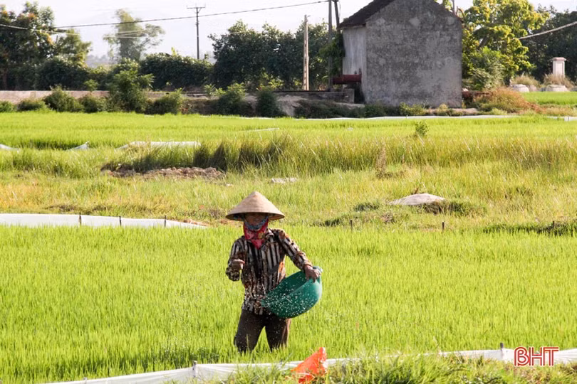 Người dân Hà Tĩnh miệt mài lao động trong nắng nóng gay gắt