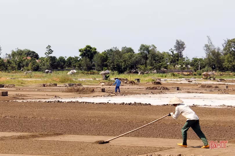 Người dân Hà Tĩnh miệt mài lao động trong nắng nóng gay gắt