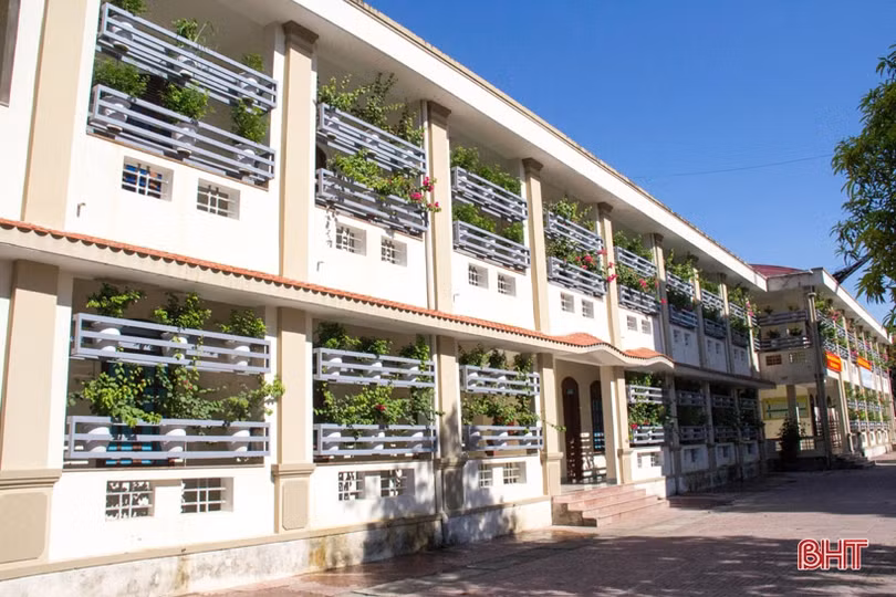 Ngắm “khu vườn” xanh mát trên ban công trụ sở làm việc ở Hà Tĩnh