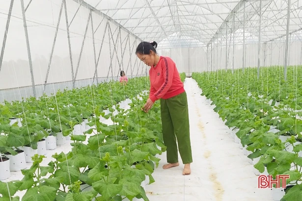 Agribank Can Lộc “dẫn dòng” nguồn vốn nông nghiệp, nông thôn vươn xa