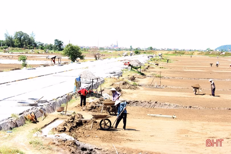 Người dân Hà Tĩnh miệt mài lao động trong nắng nóng gay gắt