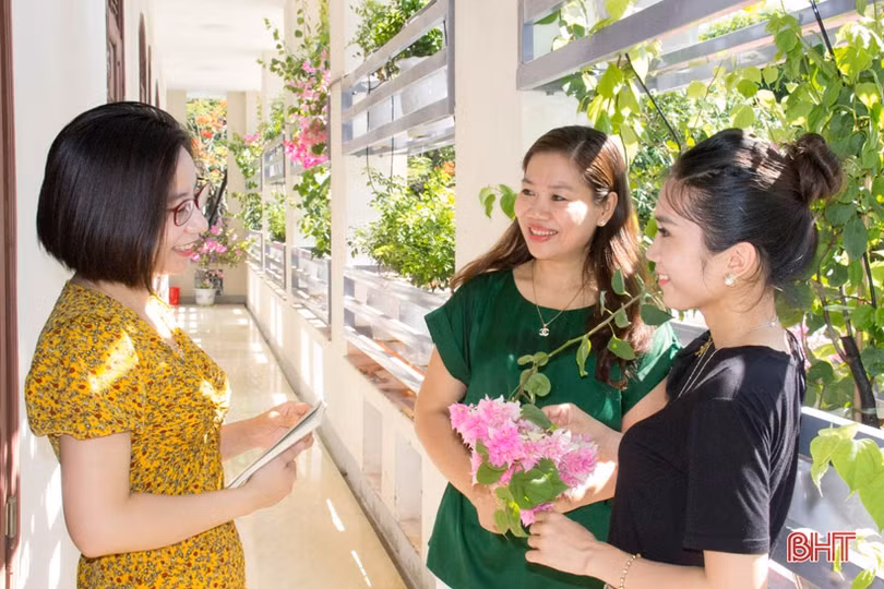 Ngắm “khu vườn” xanh mát trên ban công trụ sở làm việc ở Hà Tĩnh