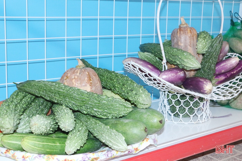 Ấn tượng gian hàng trưng bày sản phẩm nông nghiệp chào mừng Đại hội Đảng của huyện miền núi Hà Tĩnh