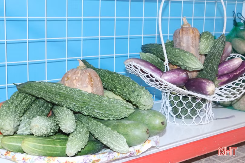 Ấn tượng gian hàng trưng bày sản phẩm nông nghiệp chào mừng Đại hội Đảng của huyện miền núi Hà Tĩnh