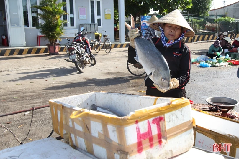 Khai thác biển - điểm sáng trong bức tranh kinh tế thủy sản Hà Tĩnh