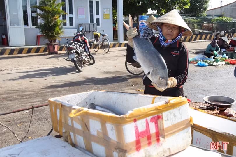 Khai thác biển - điểm sáng trong bức tranh kinh tế thủy sản Hà Tĩnh