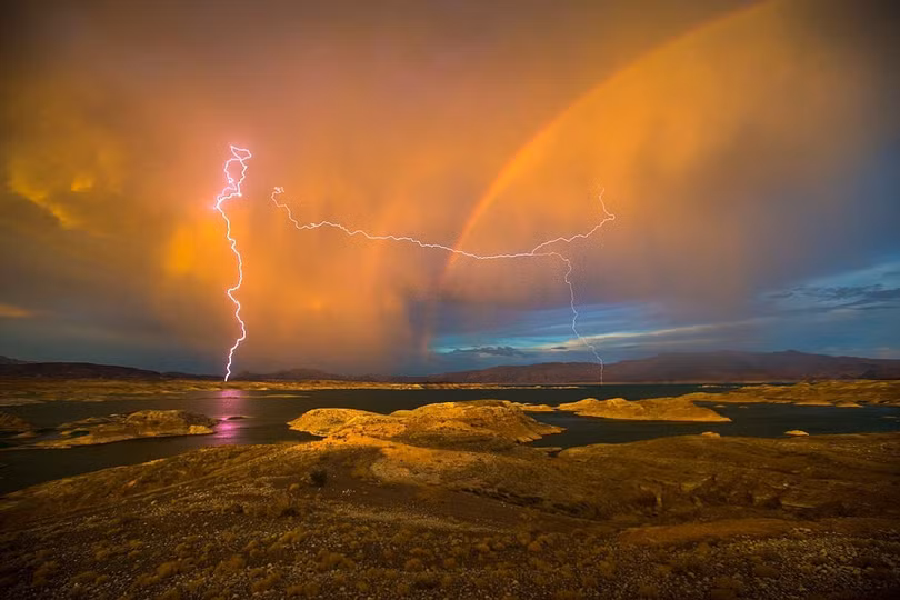 Bức ảnh 2 con báo “đáng giá 6 năm chờ đợi” của nhiếp ảnh gia Ấn Độ