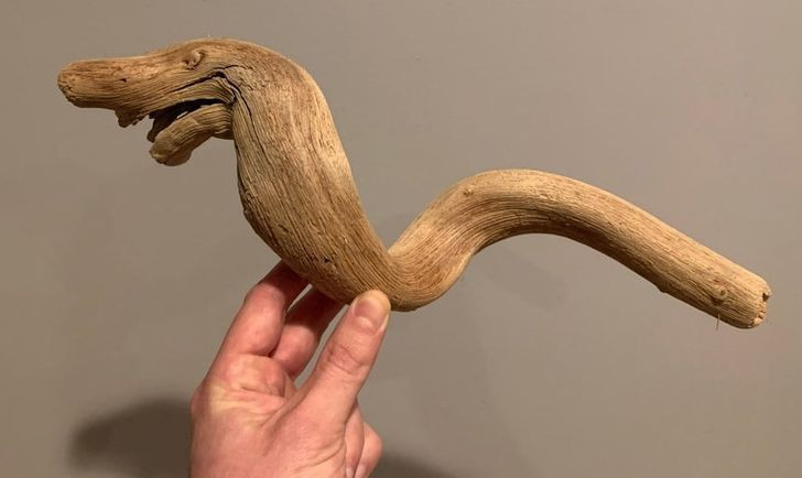 Những hình ảnh khiến bạn phải thốt lên “thật đáng kinh ngạc”