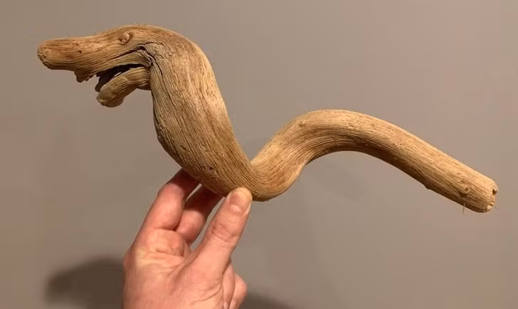 Những hình ảnh khiến bạn phải thốt lên “thật đáng kinh ngạc”